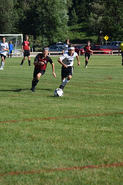 新的篇章 新的篇章